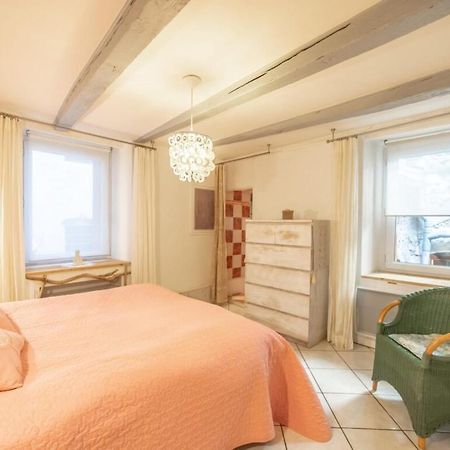 Apartment Classified 3 Stars Located In The Heart Of The Old Town Annecy Extérieur photo