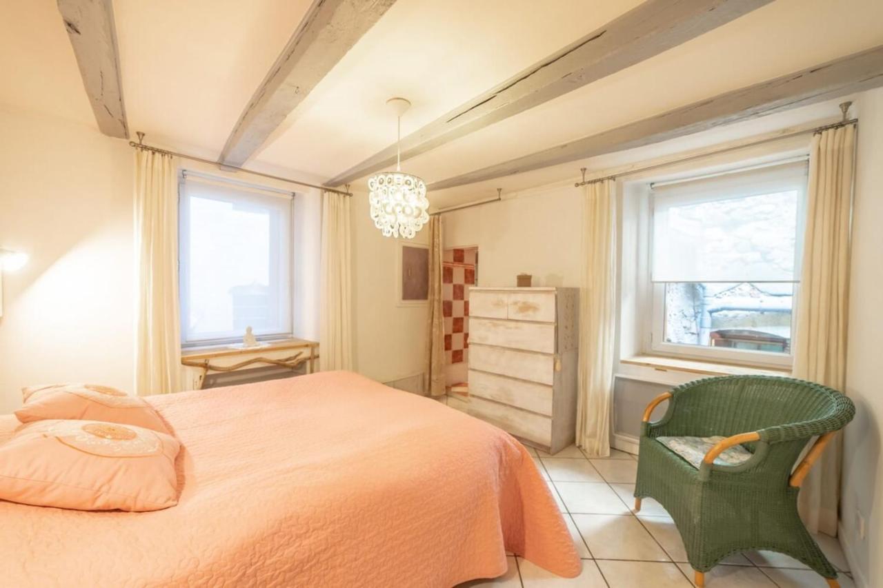 Apartment Classified 3 Stars Located In The Heart Of The Old Town Annecy Extérieur photo